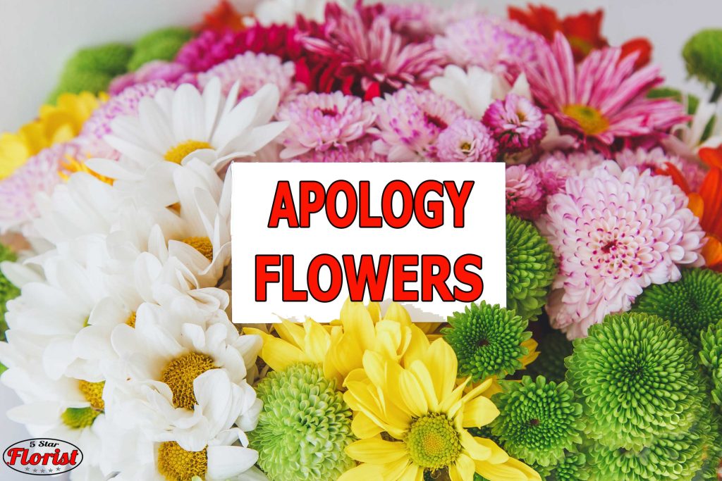 apology flowers Toledo