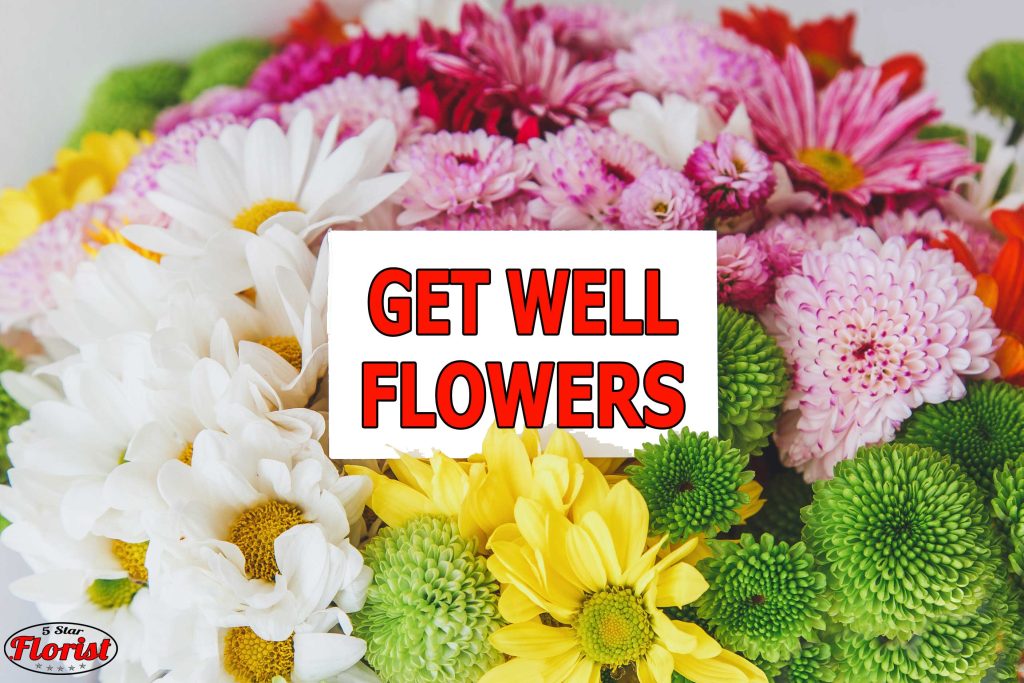 get well flowers Toledo