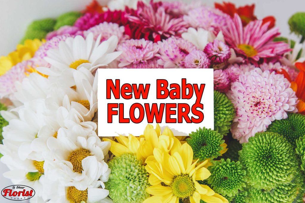 new baby flowers Toledo