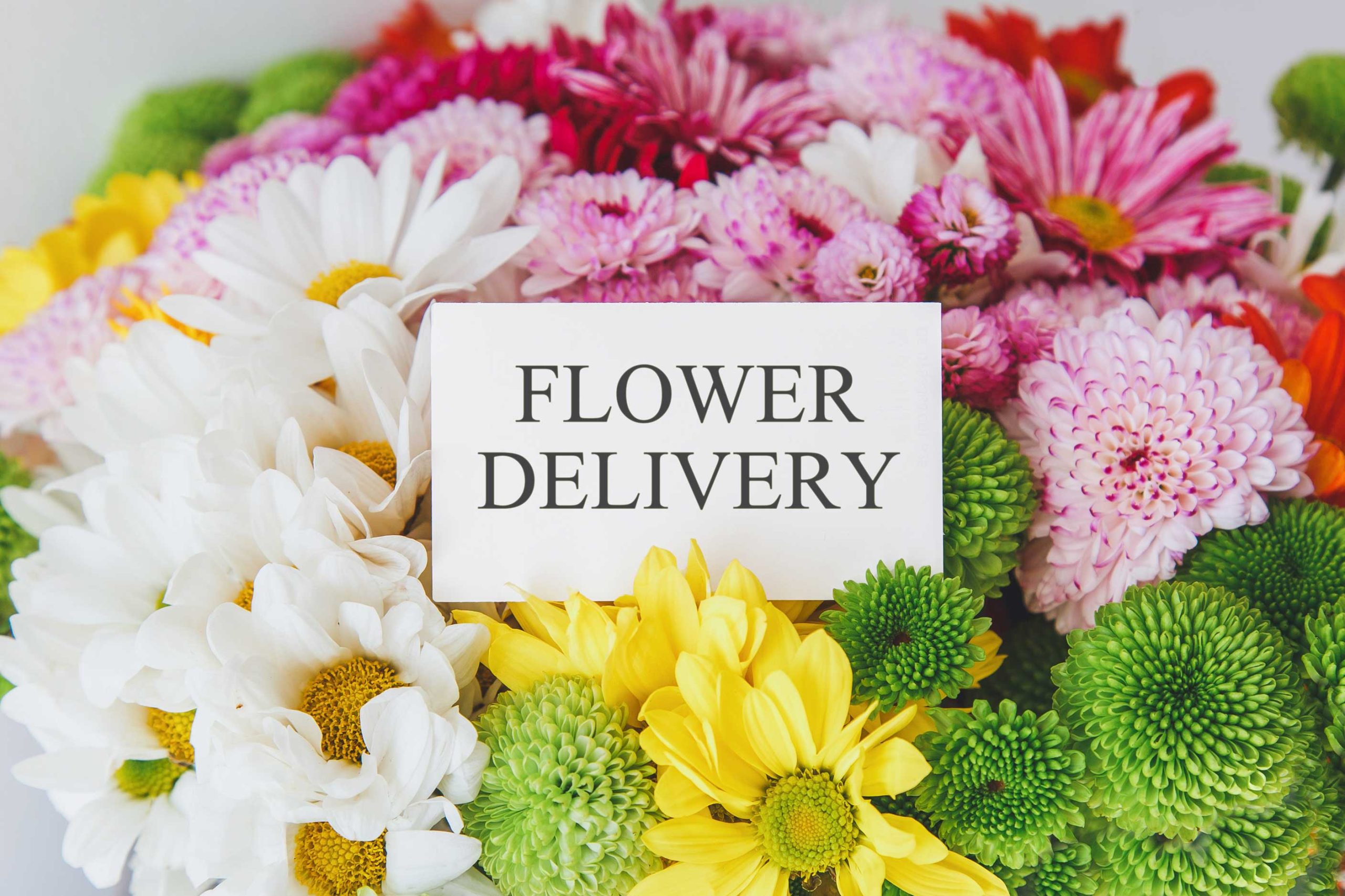 same-day-flower-delivery- Toledo